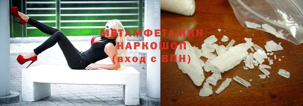 индика Аркадак