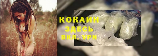 индика Аркадак
