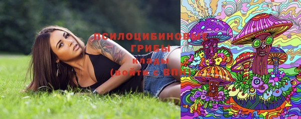круглые Армянск
