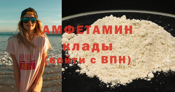 индика Аркадак