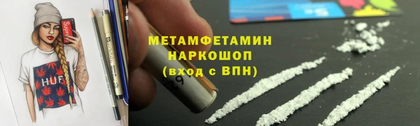 индика Аркадак