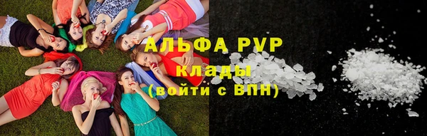 индика Аркадак