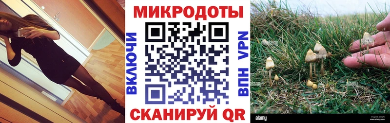 Галлюциногенные грибы Magic Shrooms  darknet какой сайт  Сердобск 